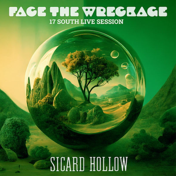 Face the Wreckage album cover